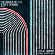 Обложка: Peace Division - Into The Music
