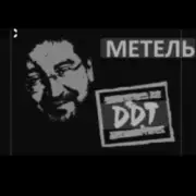 Обложка: ДДТ - Метель