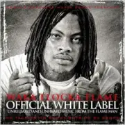 Обложка: Waka Flocka Flame - Bingo