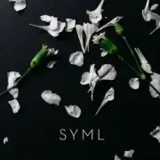 Обложка: SYML - Meant to Stay Hid