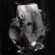 Культурное Наследие, Стереополина, Твин Пикс - Все поезда к тебе