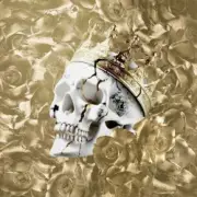 Обложка: Jelly Roll - Burning