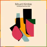 Обложка: Mount Kimbie - Fall Out