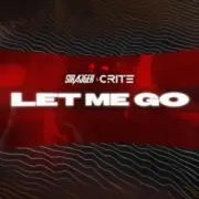 Обложка: StrajGer & Crite - LET ME GO