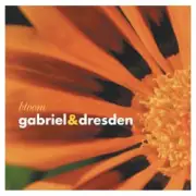 Обложка: Gabriel & Dresden - Lament