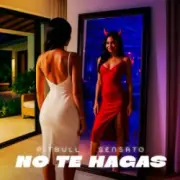 Обложка: Pitbull & Sensato - No Te Hagas