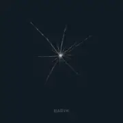 Обложка: Baryk - Скільки треба сліз