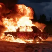 Обложка: Oliver Tree - Joyride