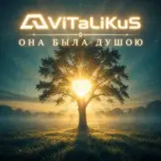 Обложка: ViTaLiKuS - Она была душою
