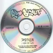 Обложка: Limp Bizkit - Shotgun (Radio Edit)