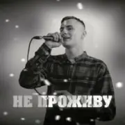 Обложка: KRABIK - Не проживу