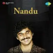 Обложка: Nandu - Forever In Our Favor