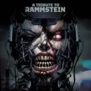 Обложка: Coverman - Reise Reise