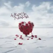 Обложка: ZET,Зинаида кузьмина & NIKA Filin - Крылья Свободы