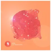 Обложка: Pyxis - Lacuna