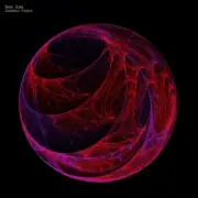 Обложка: Silex Soils - Subsidiary Factors