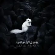 KARA KROSS - Сумасшедшая (Remix)