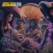 Обложка: Infected Mushroom - Deeply Disturbed