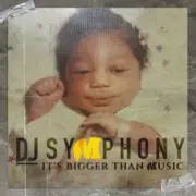 Обложка: DJ Symphony feat. Pinnacle TheHustler - Stop The Lie