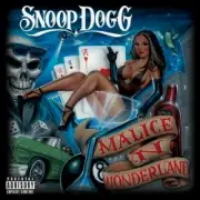 Обложка: Snoop Dogg - I Wanna Rock