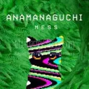 Обложка: Anamanaguchi - Echobo