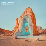 Обложка: Honey & Badger - Gospel Tool