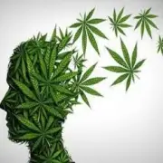 Обложка: Crazy FM - On Line