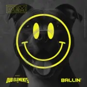 Обложка: Dub Elements - Drakul