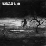 Обложка: Burzum - The Crying Orc