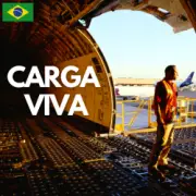 Обложка: Carga Viva - Maquillaje