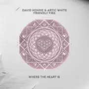Обложка: David Hohme & Artic White - Friendly Fire