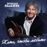 Обложка Вячеслав Малежик – Попутчица