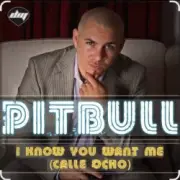 Обложка: Pitbull - I Know You Want Me