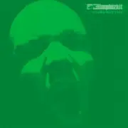Обложка: Limp Bizkit - Almost Over