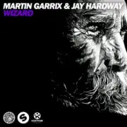 Обложка: Martin Garrix & Jay Hardway - Wizard (Original Mix)