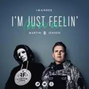 Обложка: Imanbek - Summertime Sadness