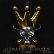 Обложка: R3HAB & Wukong & $MUSIC - Drip Drip