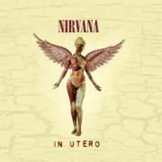 Обложка: Nirvana - Very Ape