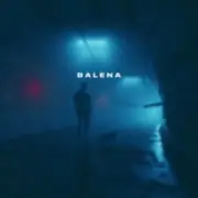 Обложка: skyfall beats - balena