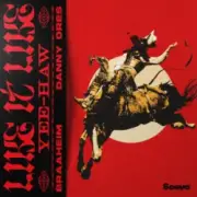 Обложка: Braaheim & Danny Ores - Like It Like (Yee-Haw)