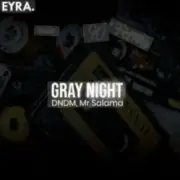 Обложка: DNDM, Mr Salama - Gray Night
