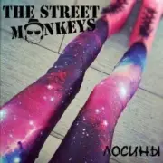 Обложка: The Street Monkeys - Леопардовые Феи
