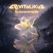 Обложка: ViTaLiKuS - Выздоровление