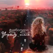 Обложка: Неболира - Украду тебя