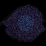 Floating Points - Miniature 27