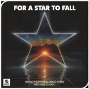 Bingo Players & Disco Fries & Boy Meets Girl - For A Star To Fall