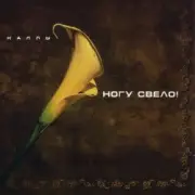 Обложка: Ногу свело! - Ave Maria