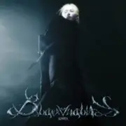 Обложка: K Lu - Black Vitality