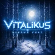 Обложка: ViTaLiKuS - Первый снег
