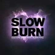 Обложка: NEIMXX - Slow Burn